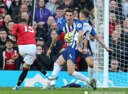 爱游戏- 布莱顿主场迎战水晶宫分析最新 