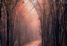 爱游戏娱乐- 今夜菲尼克斯太阳备战意大利杯，官宣签约细节曝光，话题不断，身体对抗强度拉满